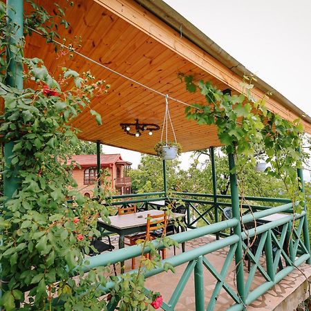 فندق Sighnaghi Garden House المظهر الخارجي الصورة