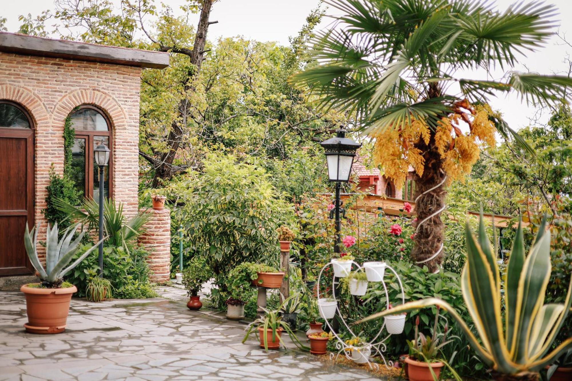 فندق Sighnaghi Garden House المظهر الخارجي الصورة