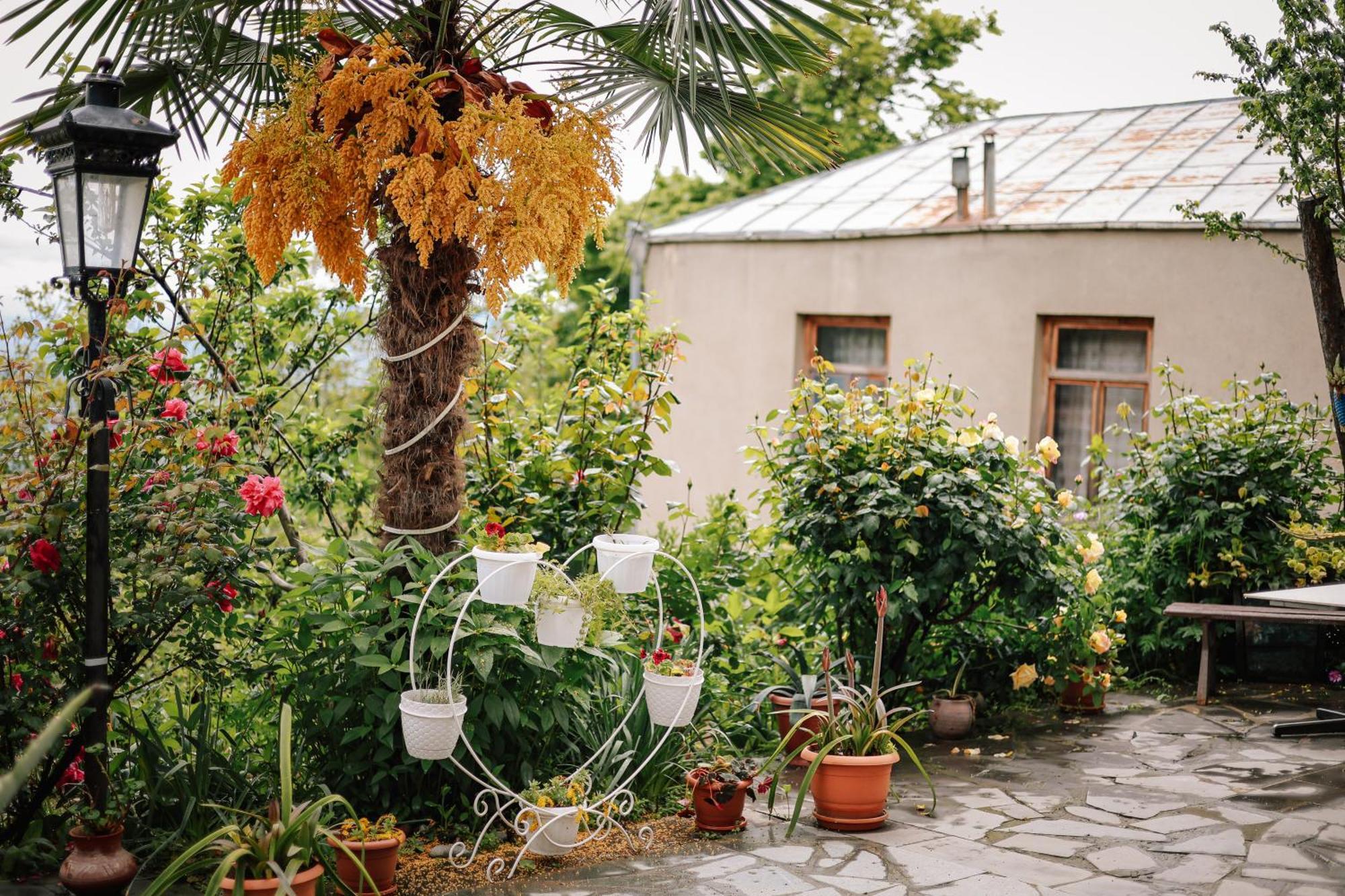 فندق Sighnaghi Garden House المظهر الخارجي الصورة
